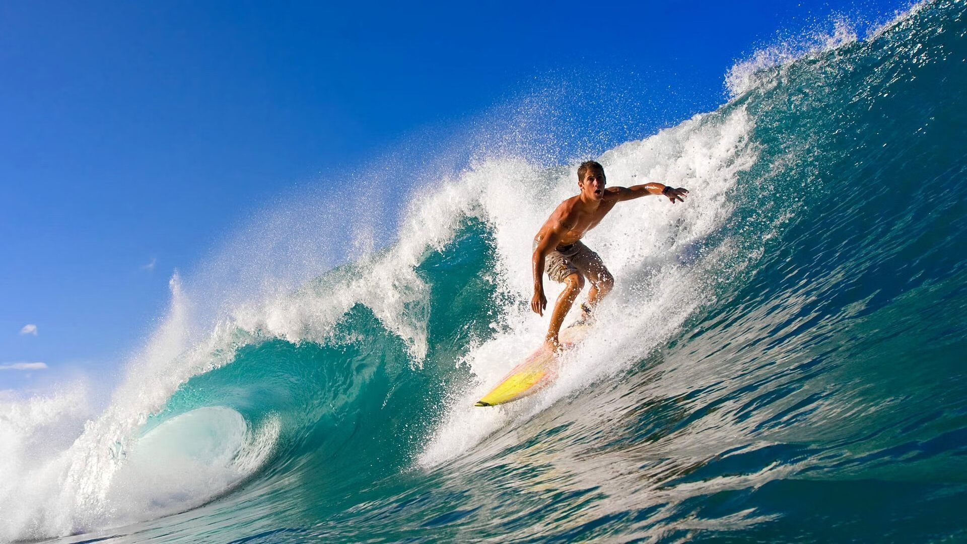 爱游戏娱乐-“球迷狂欢：最燃现场应援瞬间合集”，球迷音乐